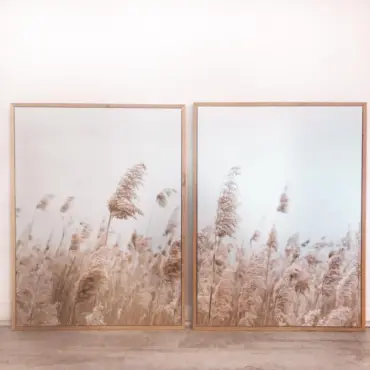 Conjunto Cuadros Canvas Campo Cola de Zorro