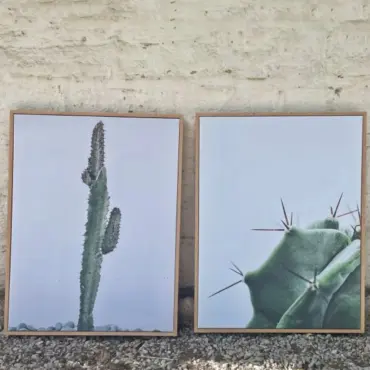 Conjunto Cuadros Canvas Suculenta-Cactus