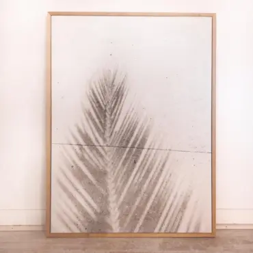 Cuadro Canvas Sombra de Palmera