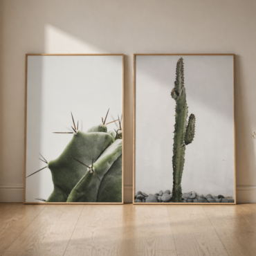Conjunto Cuadros Canvas Suculenta-Cactus