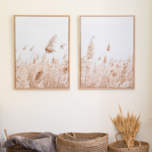 Conjunto Cuadros Canvas Campo Cola de Zorro