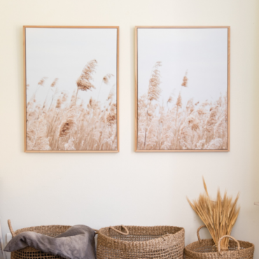 Conjunto Cuadros Canvas Campo Cola de Zorro