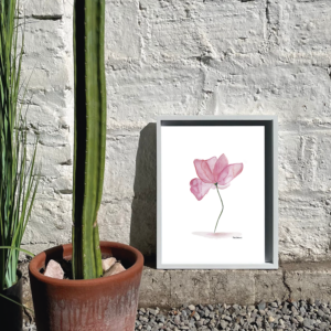 Cuadro Magnolia (acuarela)