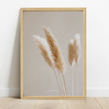 Cuadro cola de Zorro