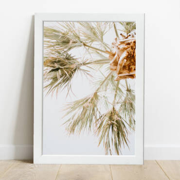 Cuadro Palmera Color