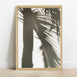 Cuadro Sombra de Palmera