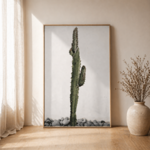 Cuadro Canvas Cactus